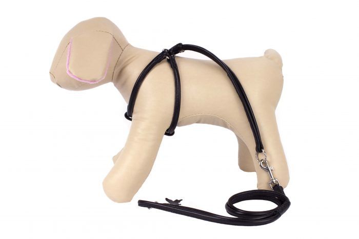 Step-in dog harness - all in one dog harness