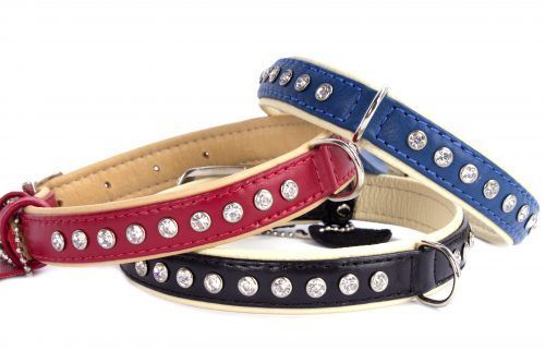 Leather Dog Collar- black blue red dog collar