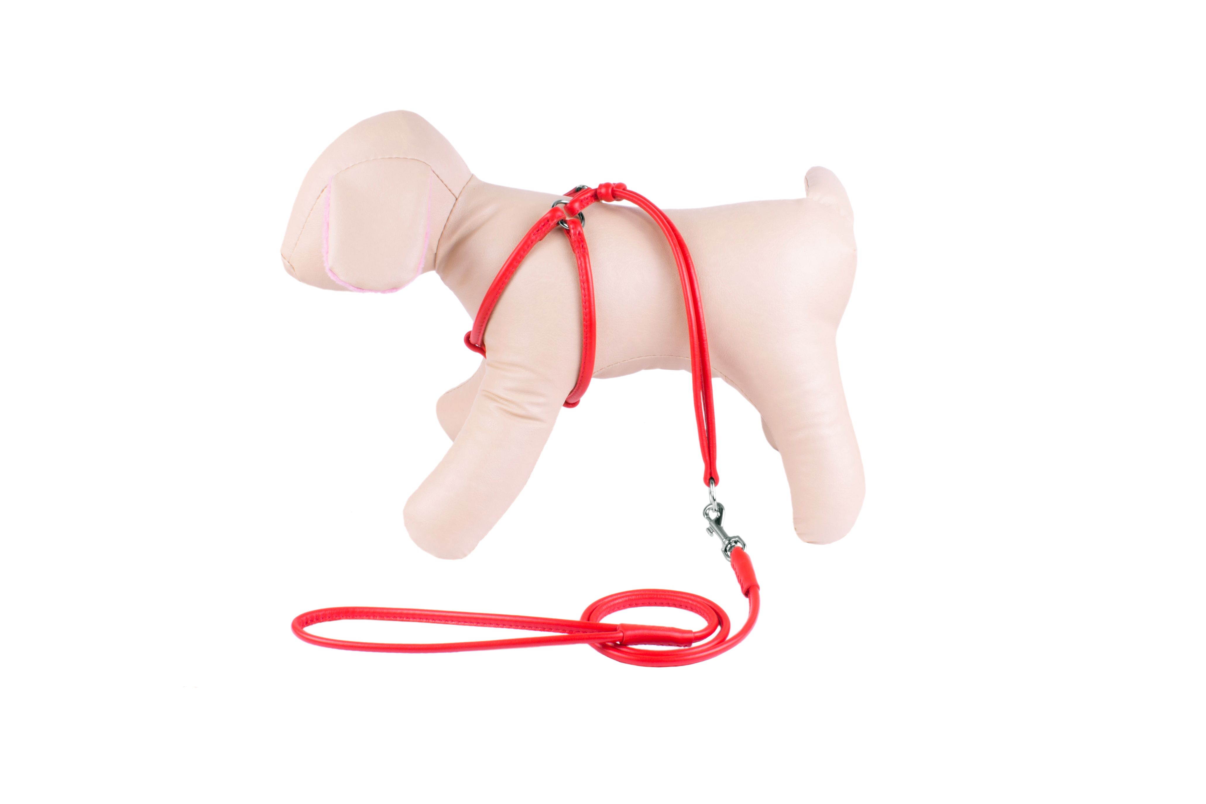 dog harness and leash set