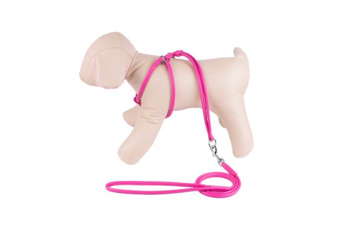Step-in Dog Harness- All in one Dog Harness