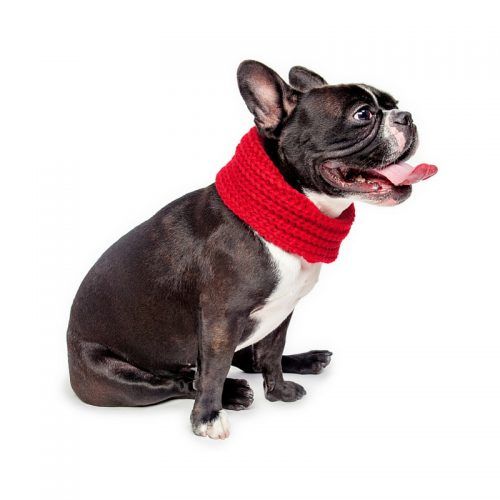 Infinity dog Scarf Red by Fab Dog