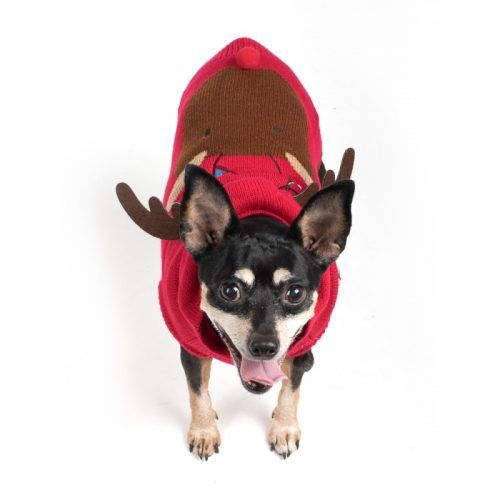 Hoodie-Dog Sweater- Rudy-Reindeer_Annabelle