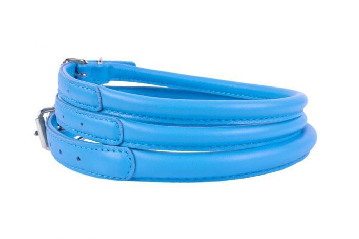 rolled-leather-dog-collar-blue