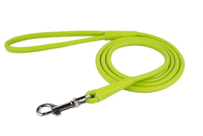 rolled-leather-dog lead-leash-lime