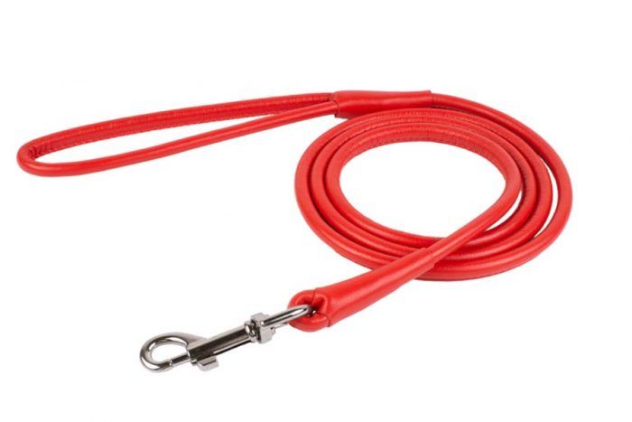 red-rolled-leather-dog-lead-leash