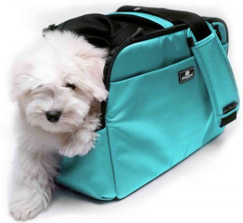 sleepypod atom Travel pet carrier for Dogs