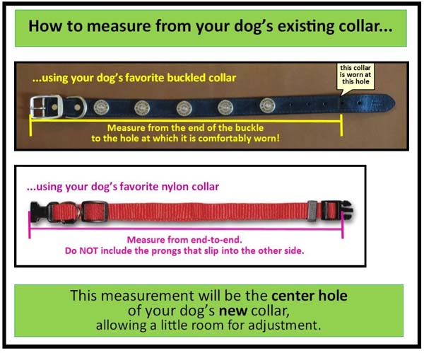 Measuring for a dog collar