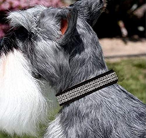 Susan Lanci Embroidered Paws Swarovski Dog Collar